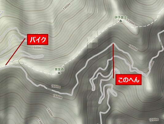 UFOライン 瓶が森林道